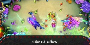 Hướng dẫn luật chơi Săn Cá Rồng