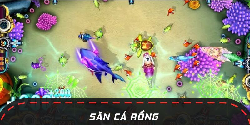 Hướng dẫn luật chơi Săn Cá Rồng