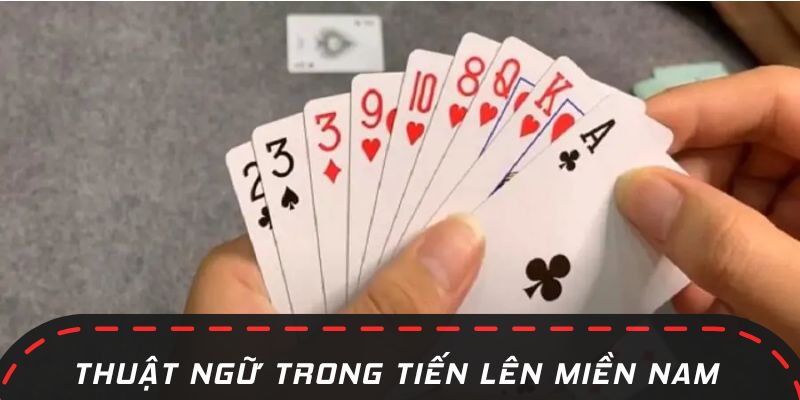 Các thuật ngữ đặc biệt